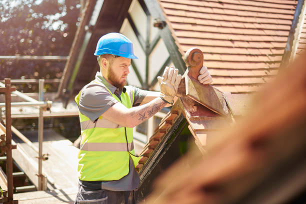 Best Roof Gutter Cleaning  in Eaton Estates, OH